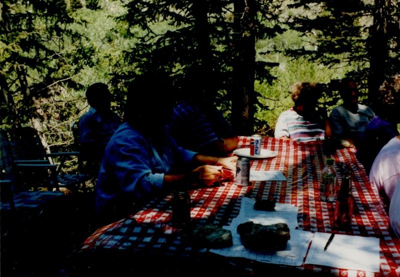 1995_07_8-Annual-Creek-Picnic-Morris-Album-002