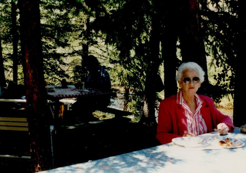 1995_07_8-Annual-Creek-Picnic-Morris-Album-005