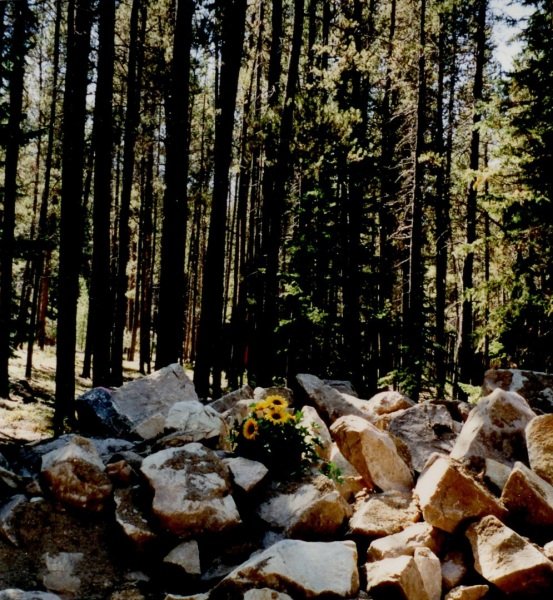 2004_07_17-Annual-Creek-Picnic-Morris-Album-023