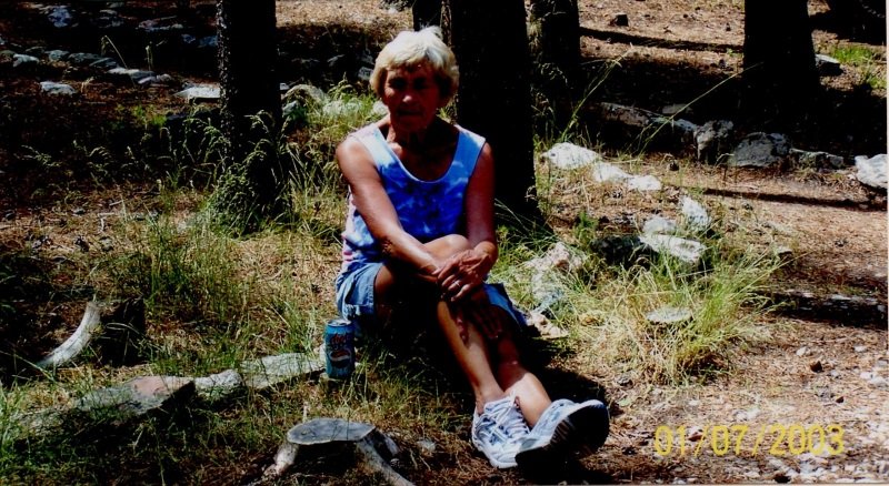 2005_07_16-Annual-Creek-Picnic-Morris-Album-004