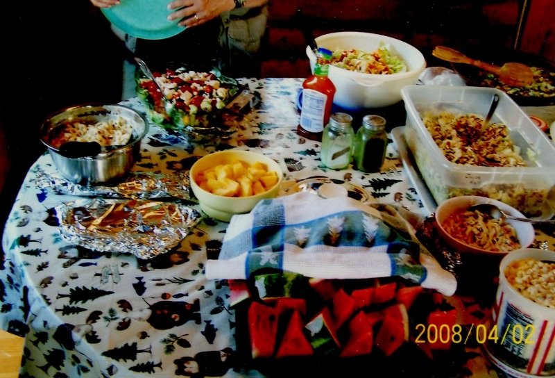 2008_07_19-Annual-Creek-Picnic-Morris-Album-039