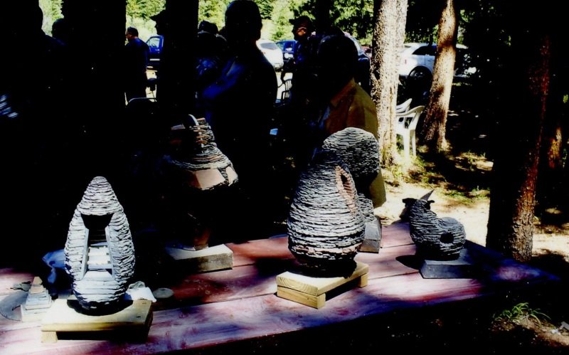 2012_07_7-Annual-Creek-Picnic-Morris-Album-012