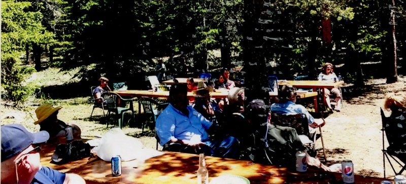 2015_07_4-Annual-Creek-Picnic-Morris-Album-020