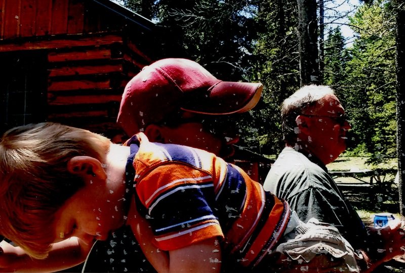 2015_07_4-Annual-Creek-Picnic-Morris-Album-030